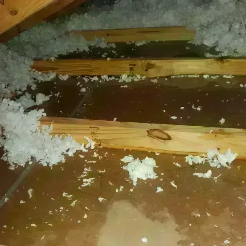 Attic Water Damage in Glyndon, MN