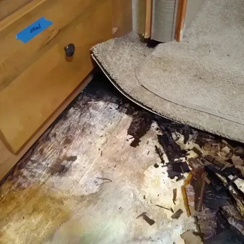 Best Wood Floor Water Damage Service in Glyndon, MN